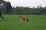 Donka beim Platz aus der Bewegung